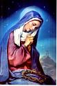 013 RICORDO PROFES PERPETUA
